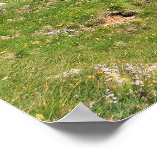 Dolomiti - Fedaia-pas met meer Poster (Hoek)