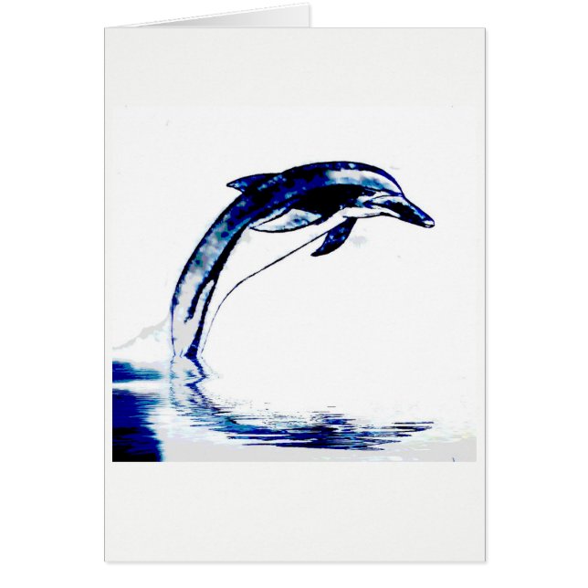 Dolphin (Voorkant)