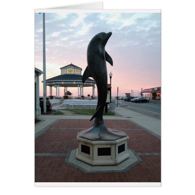 Dolphin (Voorkant)