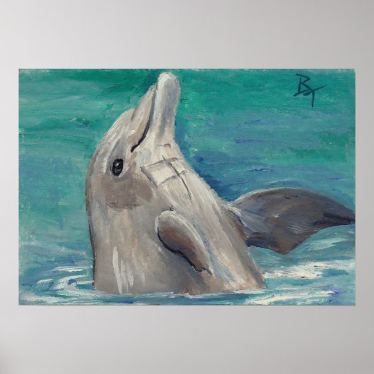 Dolphin aceo Poster afdrukken (Voorkant)