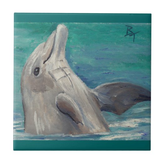 Dolphin aceo tegeltje (Voorkant)