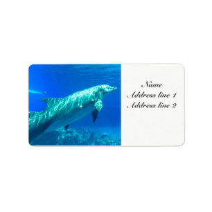 Dolphin-adresetiketten Etiket