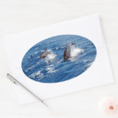Dolphin Adventure Ovale Sticker (Envelop)