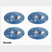 Dolphin Adventure Ovale Sticker (Vel)