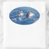 Dolphin Adventure Ovale Sticker (Tas)