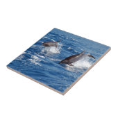 Dolphin Adventure Tegeltje (Zijkant)