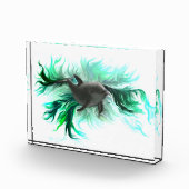 Dolphin Baby Fotoblokken (Rechts)