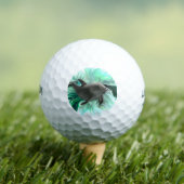 Dolphin Baby Golfballen (Insitu Shirt)