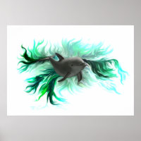 Dolphin Baby