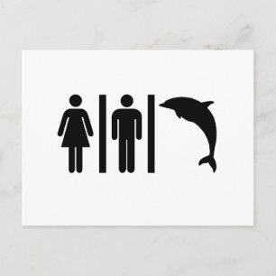 Dolphin Bathroom Briefkaart