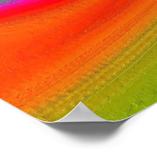 Dolphin Bay afdrukken Poster (Hoek)