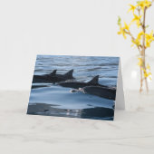 Dolphin Birthday Kaart (Gele Bloem)
