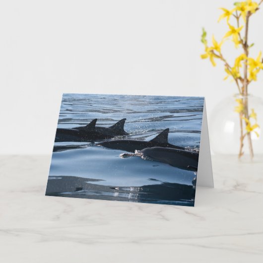 Dolphin Birthday Kaart (Gele Bloem)