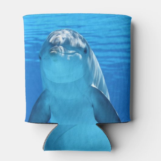 Dolphin Blikjeskoeler (Achterkant)