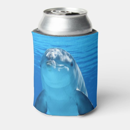 Dolphin Blikjeskoeler (Blikje Achterkant)