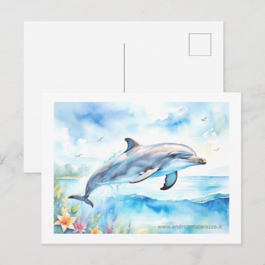 Dolphin Briefkaart (Voorkant / Achterkant)