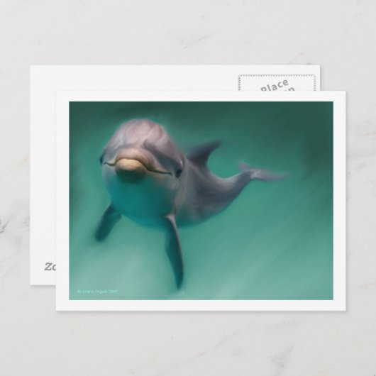 Dolphin Briefkaart (Voorkant / Achterkant)
