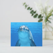 Dolphin Briefkaart (Staand voorkant)