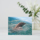 Dolphin Briefkaart (Staand voorkant)