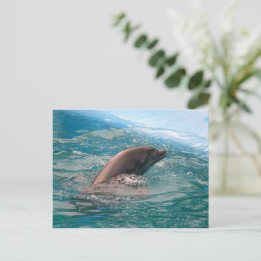 Dolphin Briefkaart (Staand voorkant)