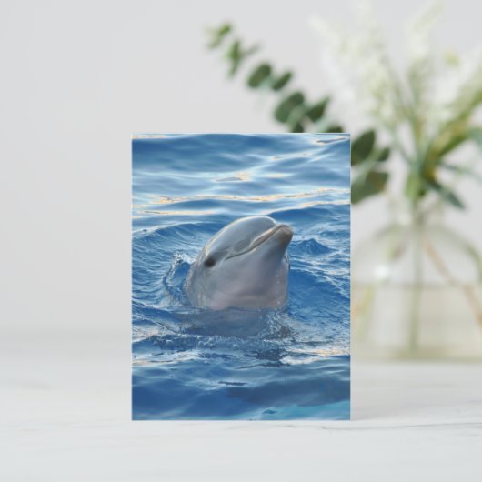 Dolphin Briefkaart (Staand voorkant)