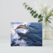 Dolphin Briefkaart (Staand voorkant)