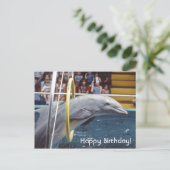 Dolphin Briefkaart (Staand voorkant)