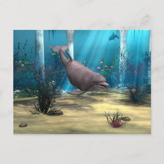 Dolphin Briefkaart (Voorkant)