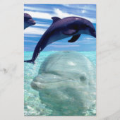 Dolphin Briefpapier (Voorkant)