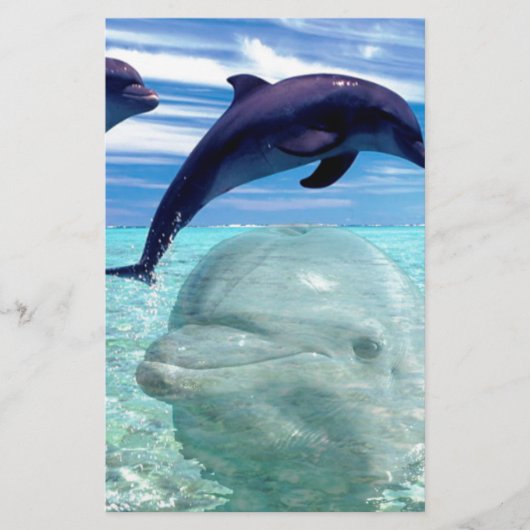 Dolphin Briefpapier (Voorkant)
