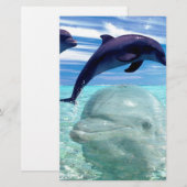 Dolphin Briefpapier (Voorkant / Achterkant)