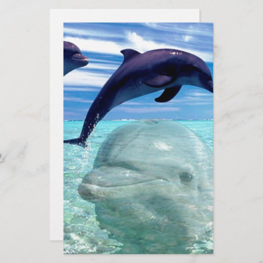 Dolphin Briefpapier (Voorkant / Achterkant)