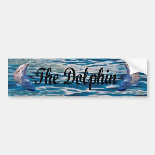 Dolphin Bumpersticker (Voorkant)