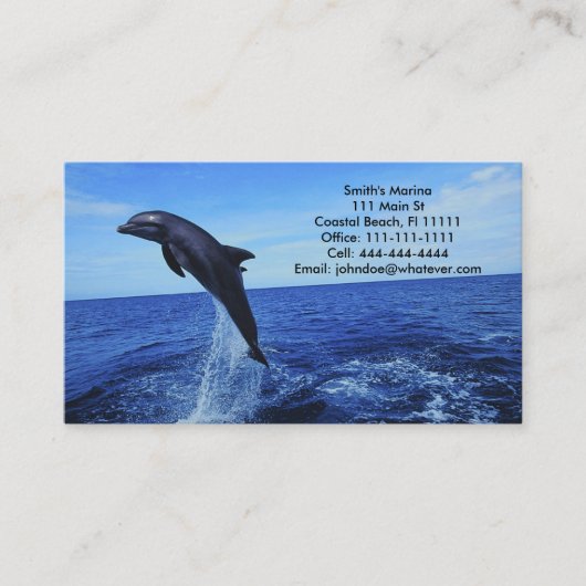 Dolphin Business-Personal Card Visitekaartje (Voorkant)