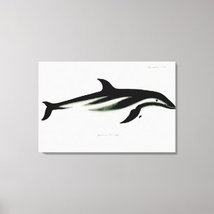 Dolphin Canvas Afdruk