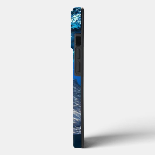 Dolphin Case-Mate iPhone Case (Achterkant / Links)