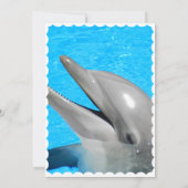 Dolphin Celebration Card Kaart (Achterkant)