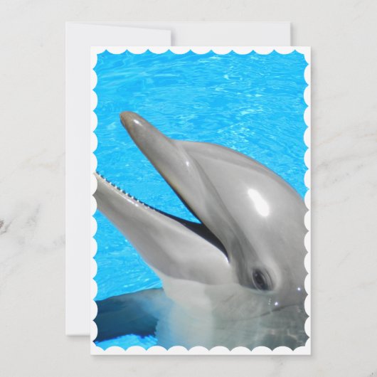 Dolphin Celebration Card Kaart (Achterkant)