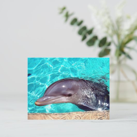 Dolphin Close-up Briefkaart (Staand voorkant)