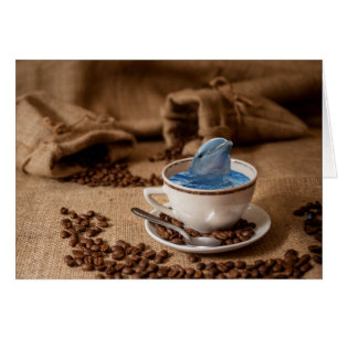 Dolphin Coffee Bans