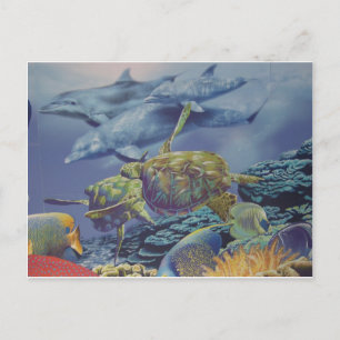 Dolphin Dance met tropische vis Briefkaart