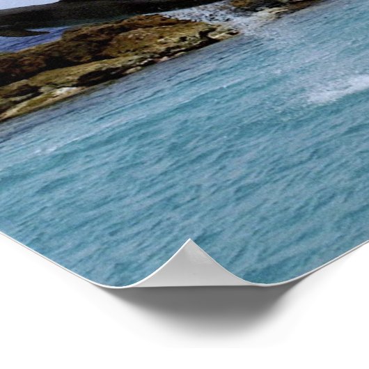 Dolphin Dance Poster (Hoek)