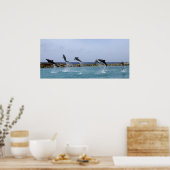 Dolphin Dance Poster (Keuken)