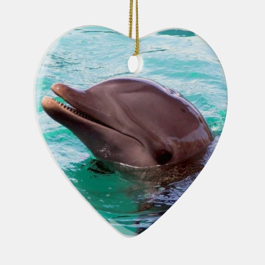 Dolphin Design Ornament (Rechts)