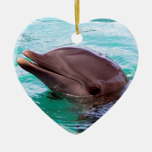 Dolphin Design Ornament (Voorkant)