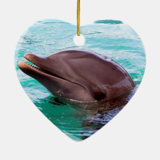 Dolphin Design Ornament (Achterkant)