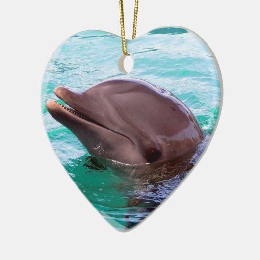 Dolphin Design Ornament (Links)