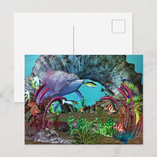 Dolphin Discovery 2 3D Aquarium Briefkaart (Voorkant / Achterkant)