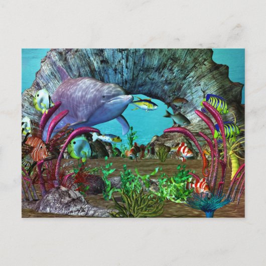 Dolphin Discovery 2 3D Aquarium Briefkaart (Voorkant)