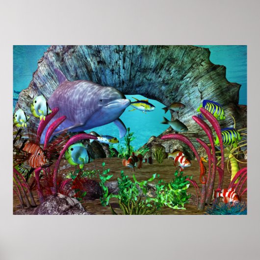 Dolphin Discovery 2 3D Aquarium Poster (Voorkant)